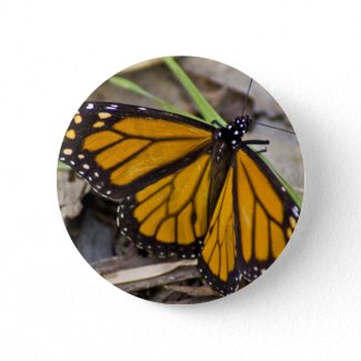 Monarch Butterfly Buttons