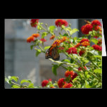 Monarch Butterfly Card