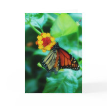 Monarch Butterfly Card