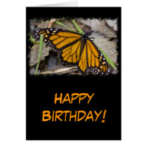 Monarch Butterfly cards