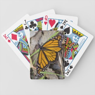 Monarch Butterfly Card Decks