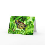 Monarch Butterfly Cards