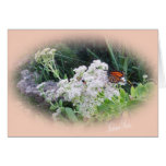 Monarch Butterfly Cards