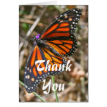 Monarch Butterfly Cards