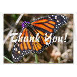Monarch Butterfly Cards