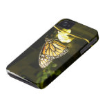 Monarch Butterfly Iphone 4 Cases