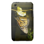Monarch Butterfly Iphone 3 Cases