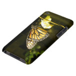 Monarch Butterfly Ipod Touch Cover