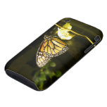 Monarch Butterfly Tough Iphone 3 Cover