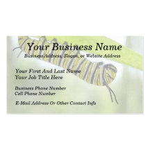 Monarch Butterfly Caterpillar Exploring A Milkweed Business Cards