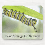 Monarch Butterfly Caterpillar Exploring A Milkweed Mouse Pad