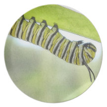 Monarch Butterfly Caterpillar Exploring A Milkweed Party Plates