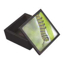 Monarch Butterfly Caterpillar Exploring A Milkweed Premium Keepsake Box