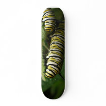 Monarch Butterfly Caterpillar Pair Skate Deck skateboards by PKHVRH Monarch Butterfly Caterpillar Pair Skate Deck skateboards