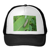 Monarch butterfly caterpillar trucker hats