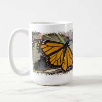 Monarch Butterfly Coffee Mugs