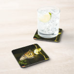 Monarch Butterfly Coasters
