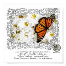 Monarch Butterfly & Daisies posters