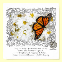 Monarch Butterfly & Daisies posters