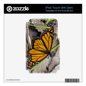 Monarch Butterfly Decal For Ipod Touch 4g