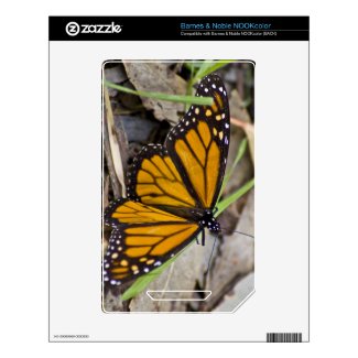 Monarch Butterfly Decal For The Nook Color
