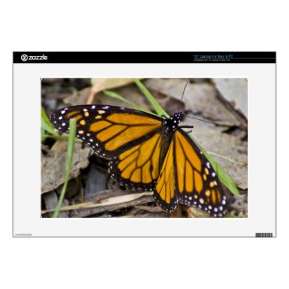 Monarch Butterfly Decals For Laptops