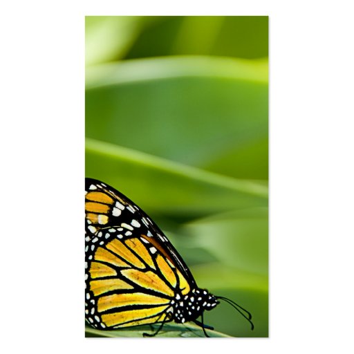 Monarch Butterfly Design Business Cards (back side)