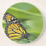 Monarch Butterfly Design Coaster