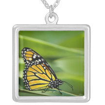 Monarch Butterfly Design Necklace