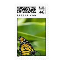 Monarch Butterfly Design Postage Stamp