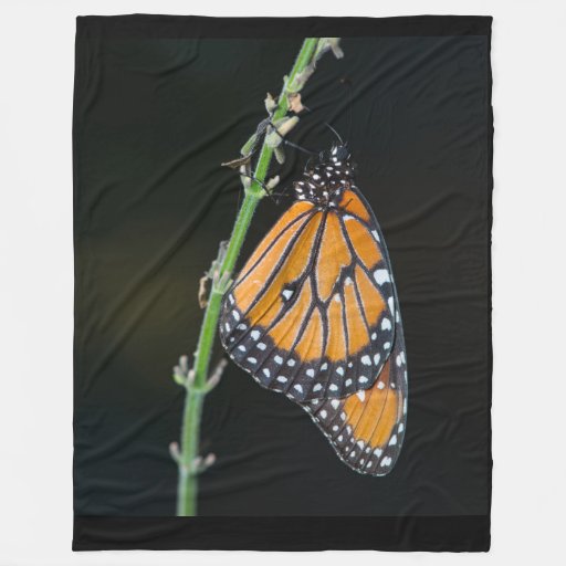 Monarch Butterfly Throw Blankets, Monarch Butterfly Fleece ...