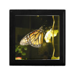 Monarch Butterfly Jewelry Boxes