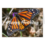 Monarch Butterfly Greeting Card
