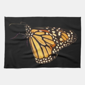 Monarch Butterfly