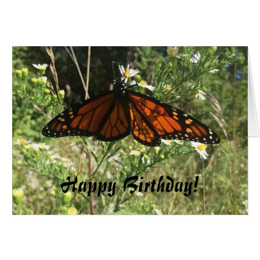 Monarch Butterfly Happy Birthday Card Zazzle