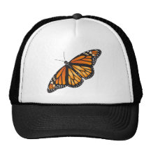 Monarch Butterfly Hat