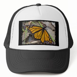 Monarch Butterfly Hats