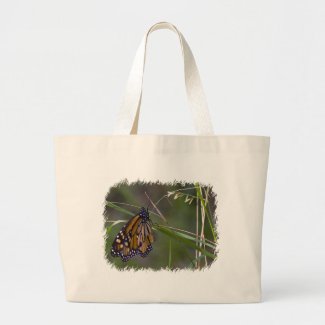 Monarch Butterfly in the Grass Bags