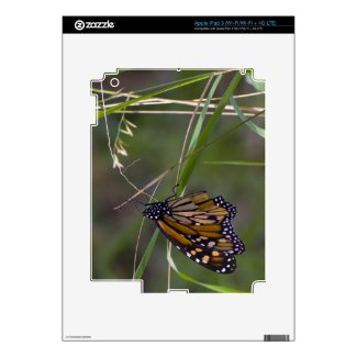 Monarch Butterfly in the Grass Decals For Ipad 3