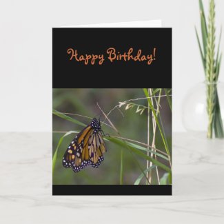 Monarch Butterfly in the Grass Greeting Card