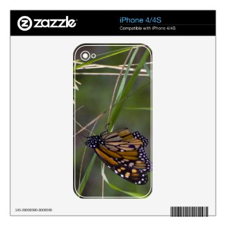 Monarch Butterfly in the Grass Iphone 4 Skins