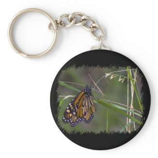 Monarch Butterfly in the Grass Key Chains