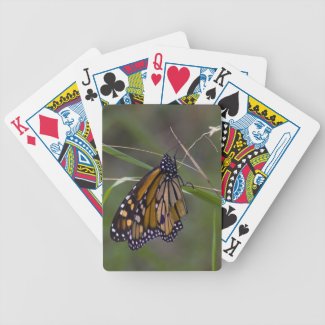 Monarch Butterfly in the Grass Playing Cards