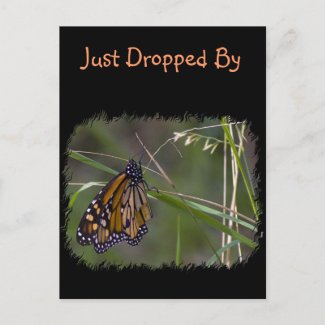 Monarch Butterfly in the Grass Post Card