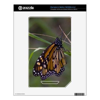 Monarch Butterfly in the Grass Skins For The Nook Color
