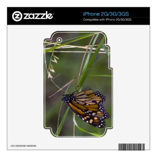 Monarch Butterfly in the Grass Decal For The Iphone 3gs