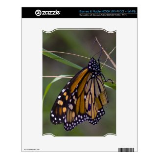 Monarch Butterfly in the Grass Skins For The Nook