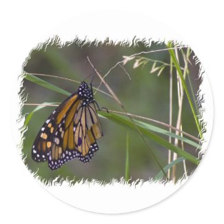 Monarch Butterfly in the Grass Stickers