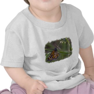 Monarch Butterfly in the Grass Tee Shirts