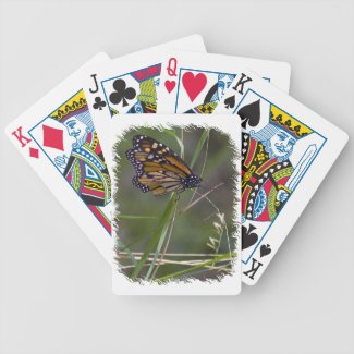 Monarch Butterfly in the Grass White Edge Card Decks